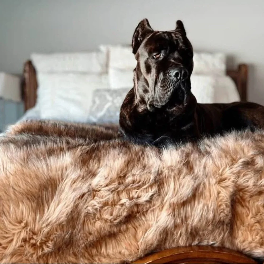 Paw pup dog furniture protector waterproof throw blanket - Picture 2 of 2